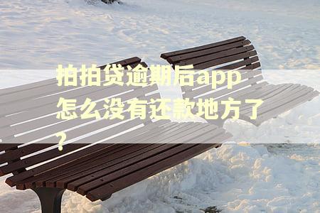 拍拍贷逾期后app怎么没有还款地方了? 拍拍贷逾期后app怎么没有还款地方了?