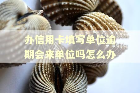 办信用卡填写单位逾期会来单位吗怎么办