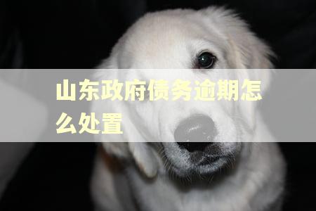 山东政府债务逾期怎么处置
