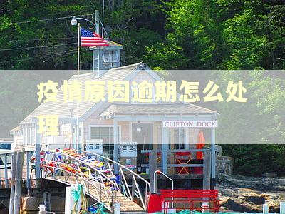 疫情原因逾期怎么处理
