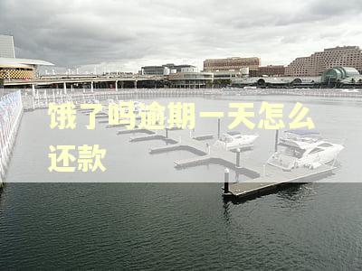饿了吗逾期一天怎么还款