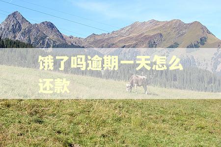 饿了吗逾期一天怎么还款