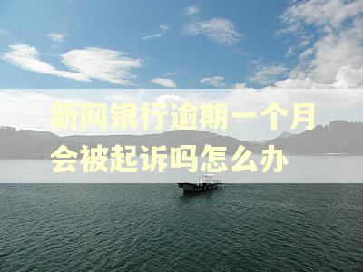 新网银行逾期一个月会被起诉吗怎么办