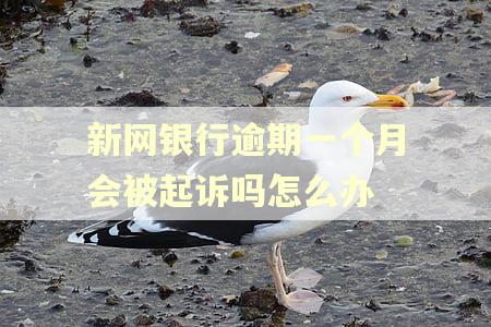 新网银行逾期一个月会被起诉吗怎么办