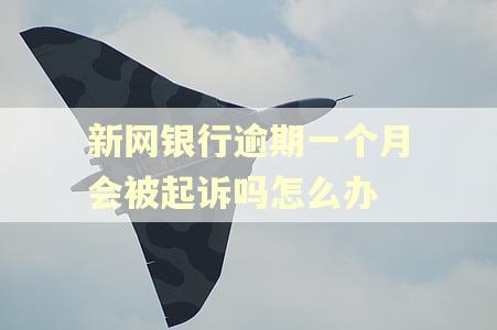 新网银行逾期一个月会被起诉吗怎么办