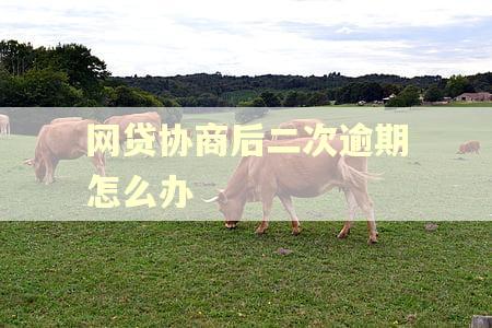 网贷协商后二次逾期怎么办