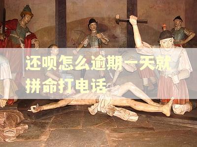 还呗怎么逾期一天就拼命打电话