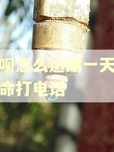 还呗怎么逾期一天就拼命打电话 还呗怎么逾期一天就拼命打电话