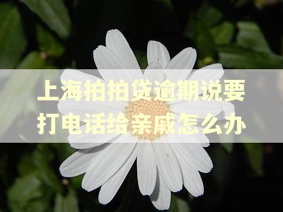 上海拍拍贷逾期说要打电话给亲戚怎么办