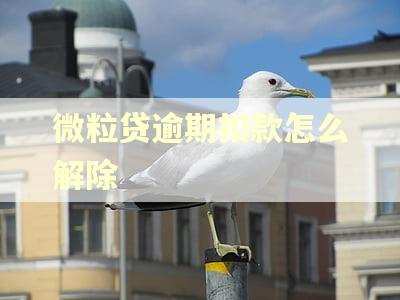 微粒贷逾期扣款怎么解除