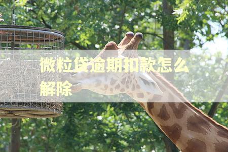 微粒贷逾期扣款怎么解除