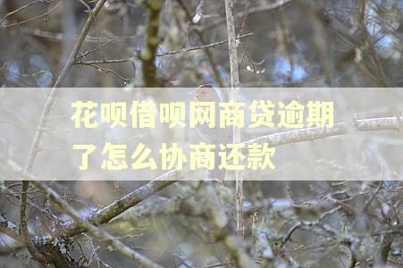 花呗借呗网商贷逾期了怎么协商还款