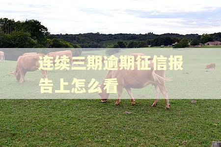 连续三期逾期征信报告上怎么看