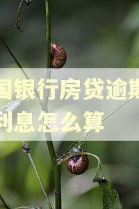 中国银行房贷逾期三天利息怎么算 中国银行房贷逾期三天利息怎么算