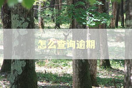 怎么查询逾期