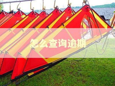 怎么查询逾期 怎么查询逾期