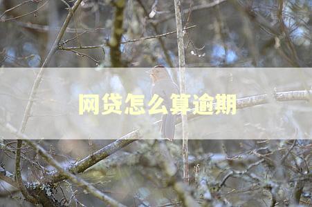 网贷怎么算逾期 网贷怎么算逾期
