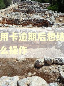 信用卡逾期后想结清怎么操作