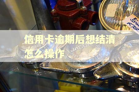 信用卡逾期后想结清怎么操作