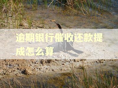 逾期银行催收还款提成怎么算