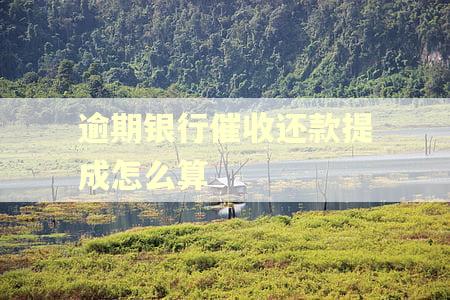 逾期银行催收还款提成怎么算