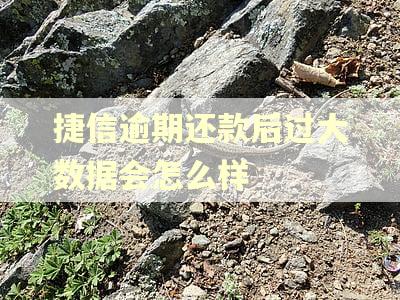 捷信逾期还款后过大数据会怎么样