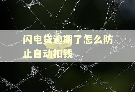 闪电贷逾期了怎么防止自动扣钱