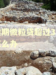 逾期微粒贷超过3期怎么办