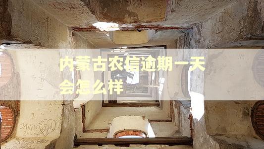 内蒙古农信逾期一天会怎么样 内蒙古农信逾期一天会怎么样