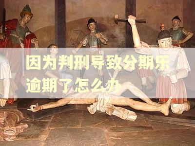 因为判刑导致分期乐逾期了怎么办