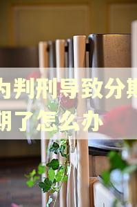 因为判刑导致分期乐逾期了怎么办 因为判刑导致分期乐逾期了怎么办