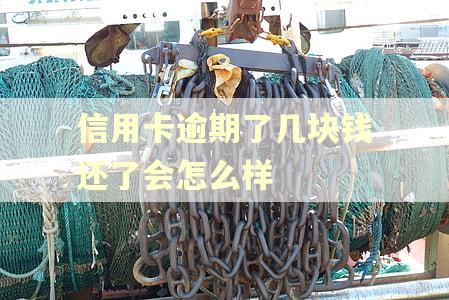 信用卡逾期了几块钱还了会怎么样