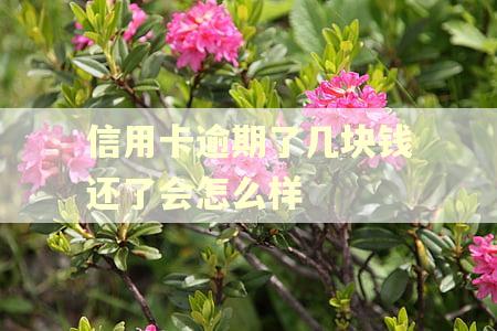 信用卡逾期了几块钱还了会怎么样