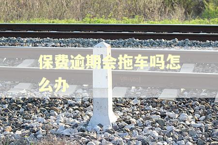 保费逾期会拖车吗怎么办
