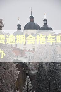 保费逾期会拖车吗怎么办