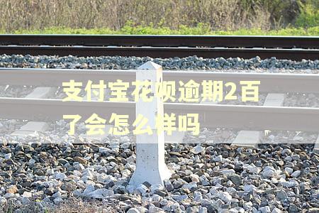 支付宝花呗逾期2百了会怎么样吗