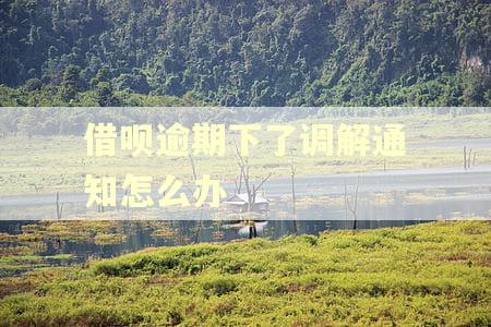 借呗逾期下了调解通知怎么办