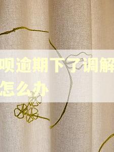 借呗逾期下了调解通知怎么办