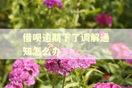 借呗逾期下了调解通知怎么办