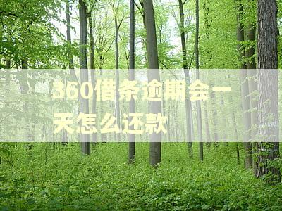 360借条逾期会一天怎么还款