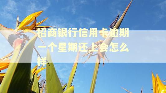 招商银行信用卡逾期一个星期还上会怎么样
