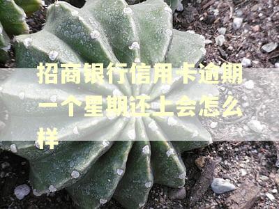 招商银行信用卡逾期一个星期还上会怎么样