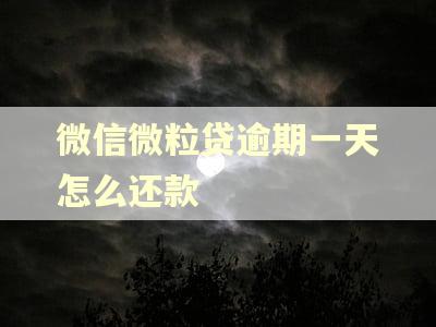 微信微粒贷逾期一天怎么还款