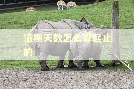 逾期天数怎么算起止的