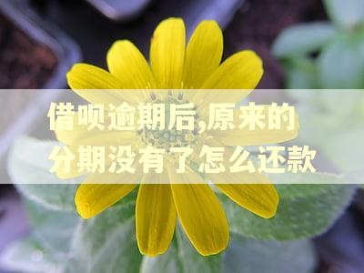 借呗逾期后,原来的分期没有了怎么还款