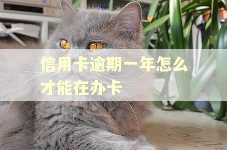 信用卡逾期一年怎么才能在办卡
