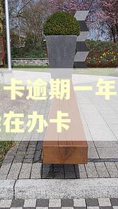 信用卡逾期一年怎么才能在办卡 信用卡逾期一年怎么才能在办卡