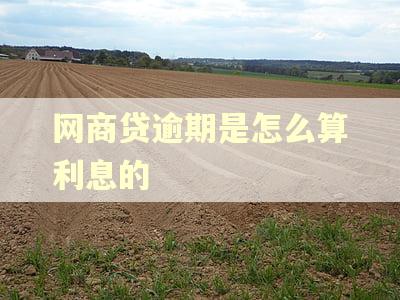 网商贷逾期是怎么算利息的