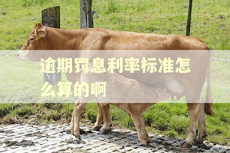 逾期罚息利率标准怎么算的啊