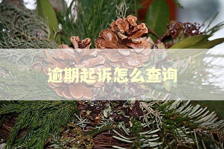 逾期起诉怎么查询